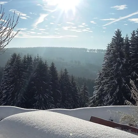 Jagerhusli